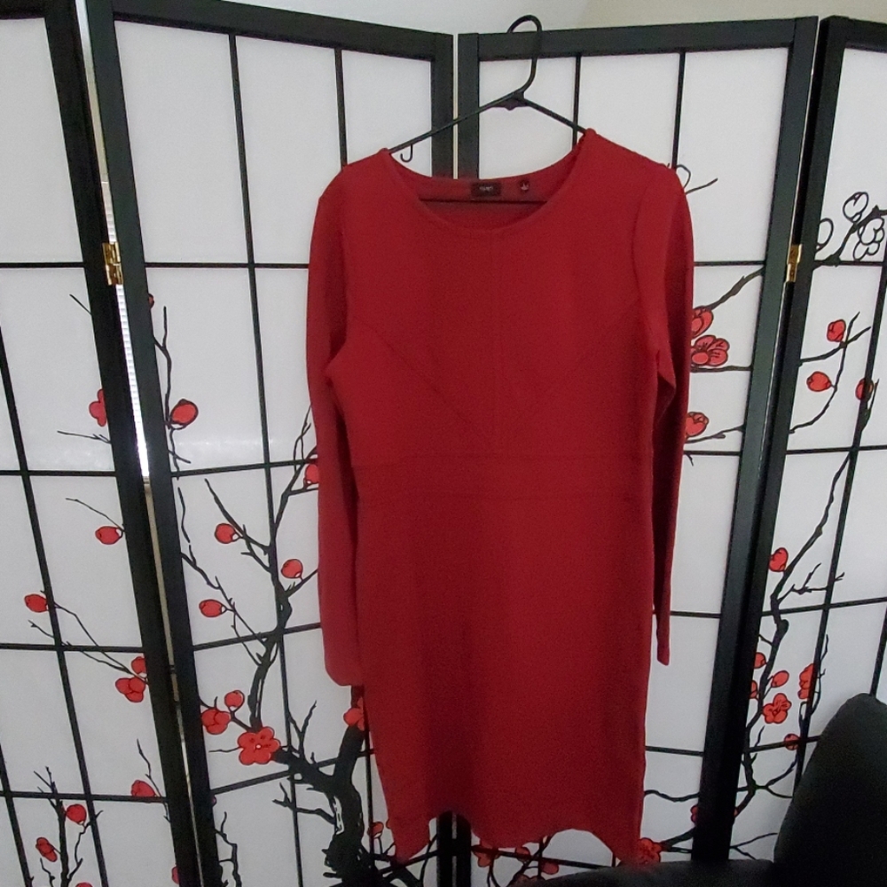 NWOT Society New York women's seam detail dress